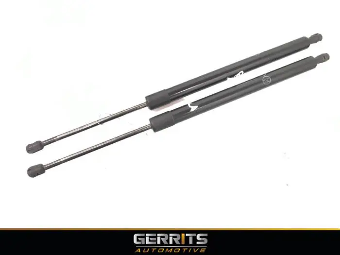 Set of tailgate gas struts Ford Transit Connect