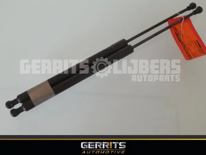 Set of tailgate gas struts Renault Scenic
